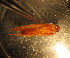  ( - D01JMZU1B)  @12 [ ] Unspecified (default): All Rights Reserved  Unspecified Unspecified