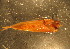  ( - D02JMZU2B)  @12 [ ] Unspecified (default): All Rights Reserved  Unspecified Unspecified
