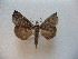  ( - G07Calbivirgata)  @14 [ ] Unspecified (default): All Rights Reserved  Unspecified Unspecified