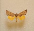  ( - G09Cbicolor)  @13 [ ] Unspecified (default): All Rights Reserved  Unspecified Unspecified