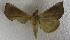  ( - JMZC1-001)  @13 [ ] Unspecified (default): All Rights Reserved  Unspecified Unspecified