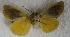  ( - JMZC7-007)  @13 [ ] Unspecified (default): All Rights Reserved  Unspecified Unspecified