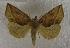  ( - JMZD1-001)  @14 [ ] Unspecified (default): All Rights Reserved  Unspecified Unspecified
