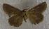  ( - JMZD2-002)  @13 [ ] Unspecified (default): All Rights Reserved  Unspecified Unspecified
