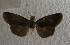  ( - JMZD3-003)  @13 [ ] Unspecified (default): All Rights Reserved  Unspecified Unspecified