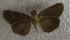  ( - JMZD3-003)  @13 [ ] Unspecified (default): All Rights Reserved  Unspecified Unspecified
