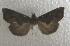  ( - JMZD7-007)  @13 [ ] Unspecified (default): All Rights Reserved  Unspecified Unspecified