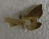 (Plusiodonta incitans - JMZE8-008)  @13 [ ] Unspecified (default): All Rights Reserved  Unspecified Unspecified