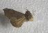  ( - JMZF1-001)  @13 [ ] Unspecified (default): All Rights Reserved  Unspecified Unspecified