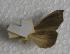  ( - JMZF1-001)  @12 [ ] Unspecified (default): All Rights Reserved  Unspecified Unspecified