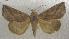  ( - JMZF7-007)  @13 [ ] Unspecified (default): All Rights Reserved  Unspecified Unspecified