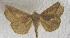  ( - JMZF9-009)  @13 [ ] Unspecified (default): All Rights Reserved  Unspecified Unspecified