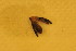  ( - F04JMZPcasta)  @12 [ ] Unspecified (default): All Rights Reserved  Unspecified Unspecified