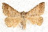  ( - JRLAA-015)  @14 [ ] CreativeCommons - Attribution (2009) Unspecified Centre for Biodiversity Genomics
