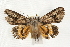  ( - JRLAA-025)  @13 [ ] CreativeCommons - Attribution (2009) Unspecified Centre for Biodiversity Genomics