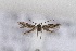  ( - CJSI23043)  @11 [ ] by-nc-sa (2023) J. Schmid Unspecified