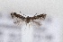 ( - CJSI23044)  @11 [ ] by-nc-sa (2023) J. Schmid Unspecified