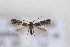  ( - CJSI23046)  @11 [ ] by-nc-sa (2023) J. Schmid Unspecified
