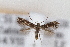  ( - CJSI23048)  @11 [ ] by-nc-sa (2023) J. Schmid Unspecified