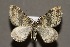  ( - CJSI24001)  @11 [ ] by-nc-sa (2024) J. Schmid Unspecified