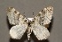  ( - CJSI24004)  @11 [ ] by-nc-sa (2024) J. Schmid Unspecified