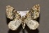  ( - CJSI24005)  @11 [ ] by-nc-sa (2024) J. Schmid Unspecified