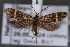  ( - CJSI24056)  @11 [ ] by-nc-sa (2024) J. Schmid Unspecified