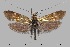  ( - CJSI24075)  @11 [ ] by-nc-sa (2024) R. Bryner Unspecified