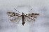  ( - CJSI 21026)  @11 [ ] by-nc-sa (2021) J. Schmid Unspecified