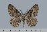  ( - CJSI 21072)  @11 [ ] by-nc-sa (2021) R. Bryner Unspecified