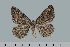  ( - CJSI 21073)  @11 [ ] by-nc-sa (2021) R. Bryner Unspecified