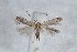  ( - CJSI 21093)  @11 [ ] by-nc-sa (2021) S. Birrer Unspecified