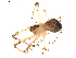  ( - BIOUG00635-H02)  @12 [ ] CC-0  G. Blagoev 2011 Unspecified
