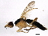  ( - BIOUG01604-D03)  @13 [ ] CreativeCommons - Attribution (2012) CBG Photography Group Centre for Biodiversity Genomics