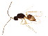 ( - BIOUG01601-C03)  @14 [ ] CreativeCommons - Attribution (2012) CBG Photography Group Centre for Biodiversity Genomics