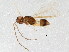  ( - BIOUG01601-H06)  @13 [ ] CreativeCommons - Attribution (2012) CBG Photography Group Centre for Biodiversity Genomics