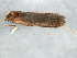  ( - BIOUG01602-G09)  @12 [ ] CreativeCommons - Attribution (2012) CBG Photography Group Centre for Biodiversity Genomics