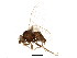  ( - BIOUG01611-C12)  @12 [ ] CreativeCommons - Attribution (2012) CBG Photography Group Centre for Biodiversity Genomics