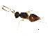  ( - BIOUG01605-G04)  @12 [ ] CreativeCommons - Attribution (2012) CBG Photography Group Centre for Biodiversity Genomics
