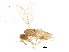  ( - BIOUG01605-G08)  @13 [ ] CreativeCommons - Attribution (2012) CBG Photography Group Centre for Biodiversity Genomics