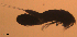  ( - BIOUG48555.F10)  @11 [ ] CreativeCommons  Attribution Non-Commercial Share-Alike  Jessica Schultz Centre for Biodiversity Genomics