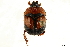  ( - BIOUG43000-H08)  @11 [ ] CreativeCommons - Attribution (2019) CBG Photography Group Centre for Biodiversity Genomics