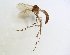  ( - TSZD-JKJ-101892)  @12 [ ] CreativeCommons - Attribution Non-Commercial Share-Alike (2016) Unspecified Tromsø University Museum