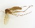  ( - TSZD-JKJ-102044)  @11 [ ] CreativeCommons - Attribution Non-Commercial Share-Alike (2016) Unspecified Tromsø University Museum