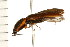  ( - CHU-MXC-002)  @14 [ ] CreativeCommons - Attribution (2009) Unspecified Centre for Biodiversity Genomics