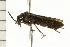  ( - CHU-MXC-044)  @12 [ ] CreativeCommons - Attribution (2009) Unspecified Centre for Biodiversity Genomics