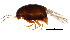  ( - BIOUG00993-A12)  @12 [ ] CreativeCommons - Attribution (2011) CBG Photography Group Centre for Biodiversity Genomics