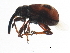  ( - BIOUG00873-G09)  @12 [ ] CreativeCommons - Attribution (2011) CBG Photography Group Centre for Biodiversity Genomics