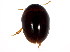  ( - BIOUG00971-A03)  @14 [ ] CreativeCommons - Attribution (2011) CBG Photography Group Centre for Biodiversity Genomics