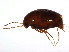  ( - BIOUG00971-H05)  @13 [ ] CreativeCommons - Attribution (2011) CBG Photography Group Centre for Biodiversity Genomics